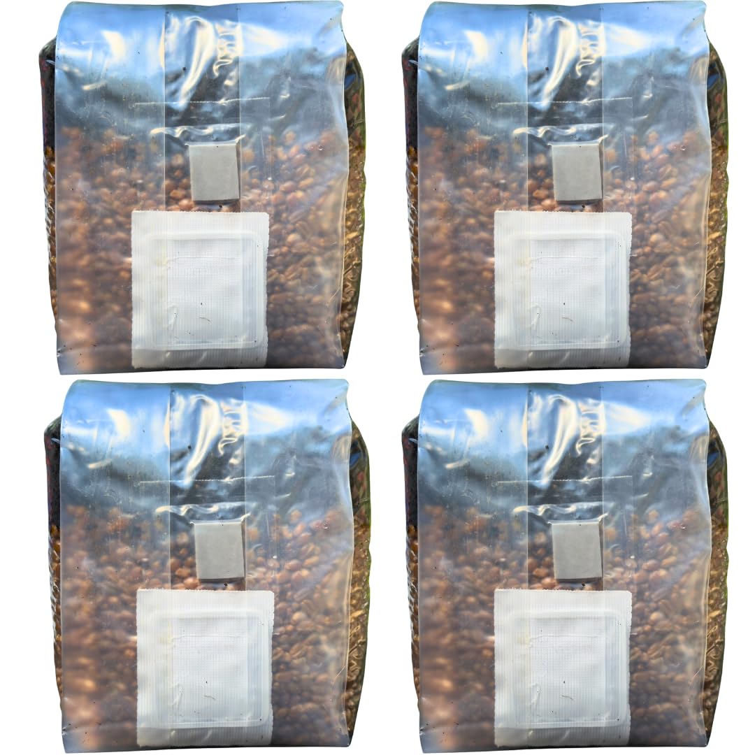MushroomSpawnStore grow bag setup enabling simple at-home cultivation.