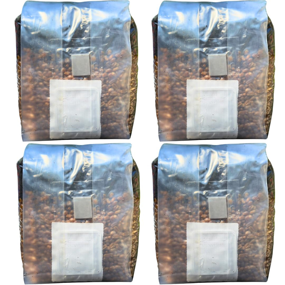 MushroomSpawnStore grow bag setup enabling simple at-home cultivation.