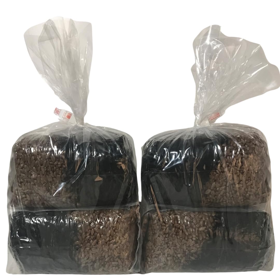 MushroomSpawnStore injector port patch ensures safer, cleaner inoculation.