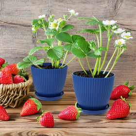 Six blue pots provide cohesive look for patios, balconies, and windowsills