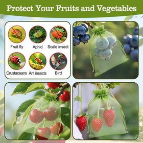 Muyurra bag covering a strawberry plant for enhanced pest defense.