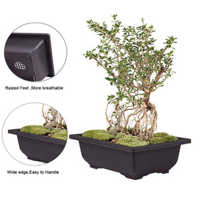 MUZHI 10.1 inch exterior dimensions illustrated on pot.
