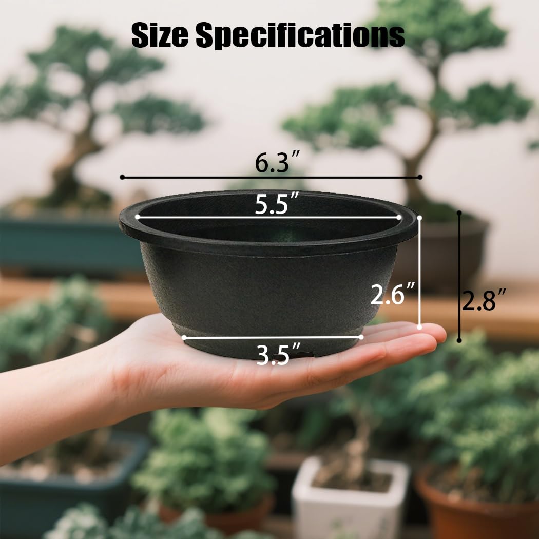 MUZHI cactus planter round flat 6.3in, ideal for modern shelf displays and easy watering