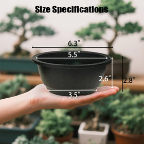 MUZHI cactus planter round flat 6.3in, ideal for modern shelf displays and easy watering