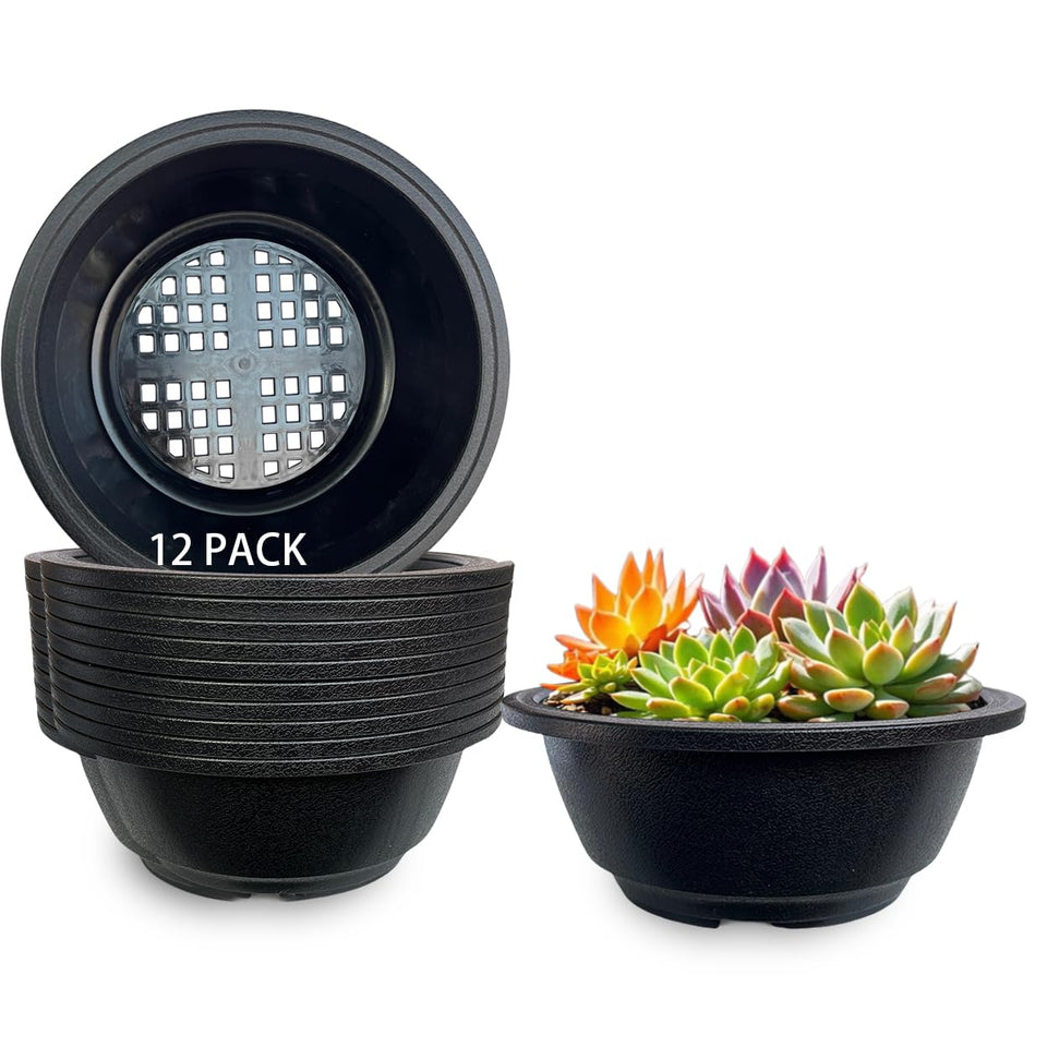 MUZHI 12-pack matte black round succulent planter 6.3in with drainage, ideal for desktop arrangements