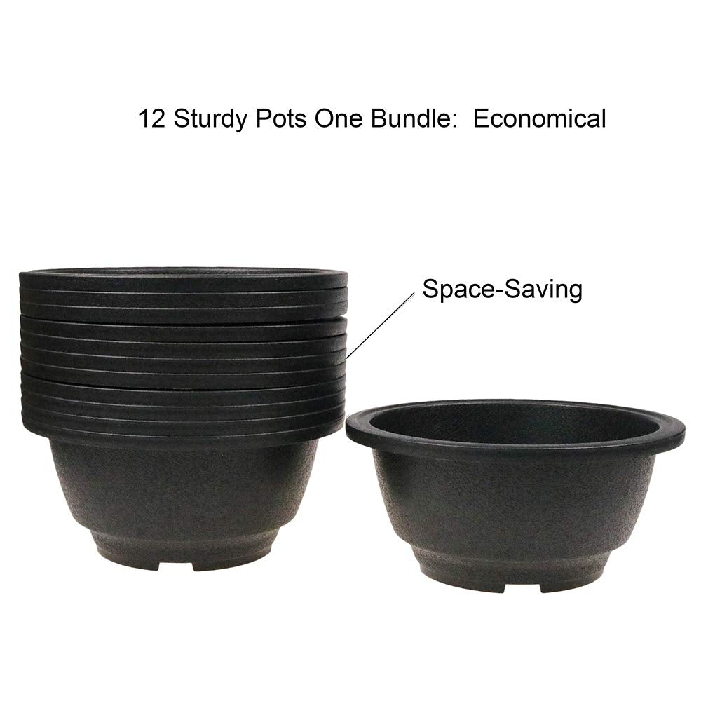 MUZHI round bonsai planter bowl 6.3in set, perfect for compact bonsai with breathable drainage