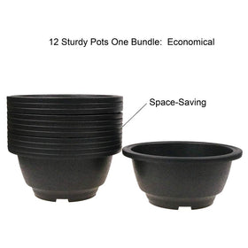 MUZHI round bonsai planter bowl 6.3in set, perfect for compact bonsai with breathable drainage