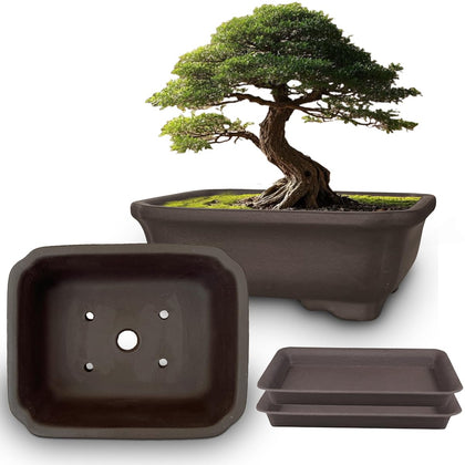 MUZHI 2-pack unglazed 6-inch bonsai pot with tray supports healthy root airflow.