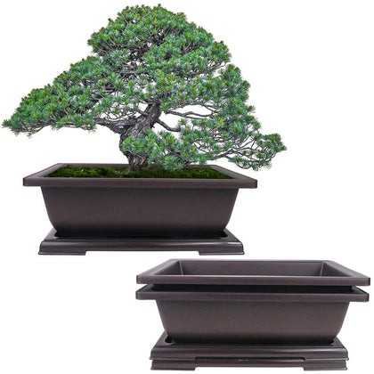 MUZHI 3PCS bonsai pots with tray set, ideal for home balcony display.