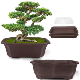 MUZHI 8-inch unglazed bonsai pot with natural texture promotes breathable root growth