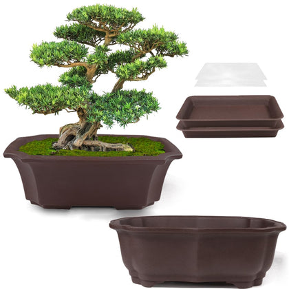 MUZHI 8-inch unglazed bonsai pot with natural texture promotes breathable root growth