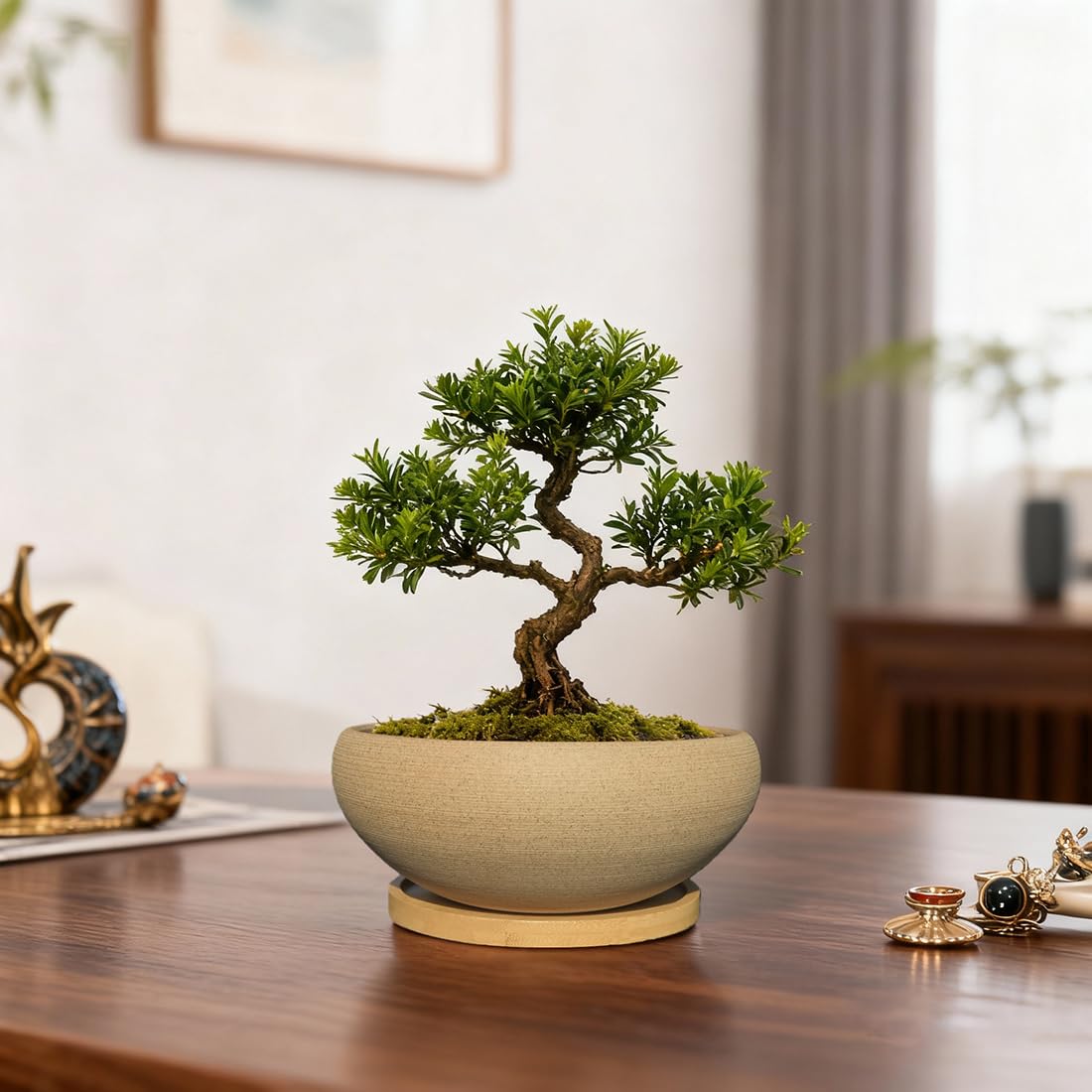 MUZHI bamboo tray detail complements pot and catches moisture