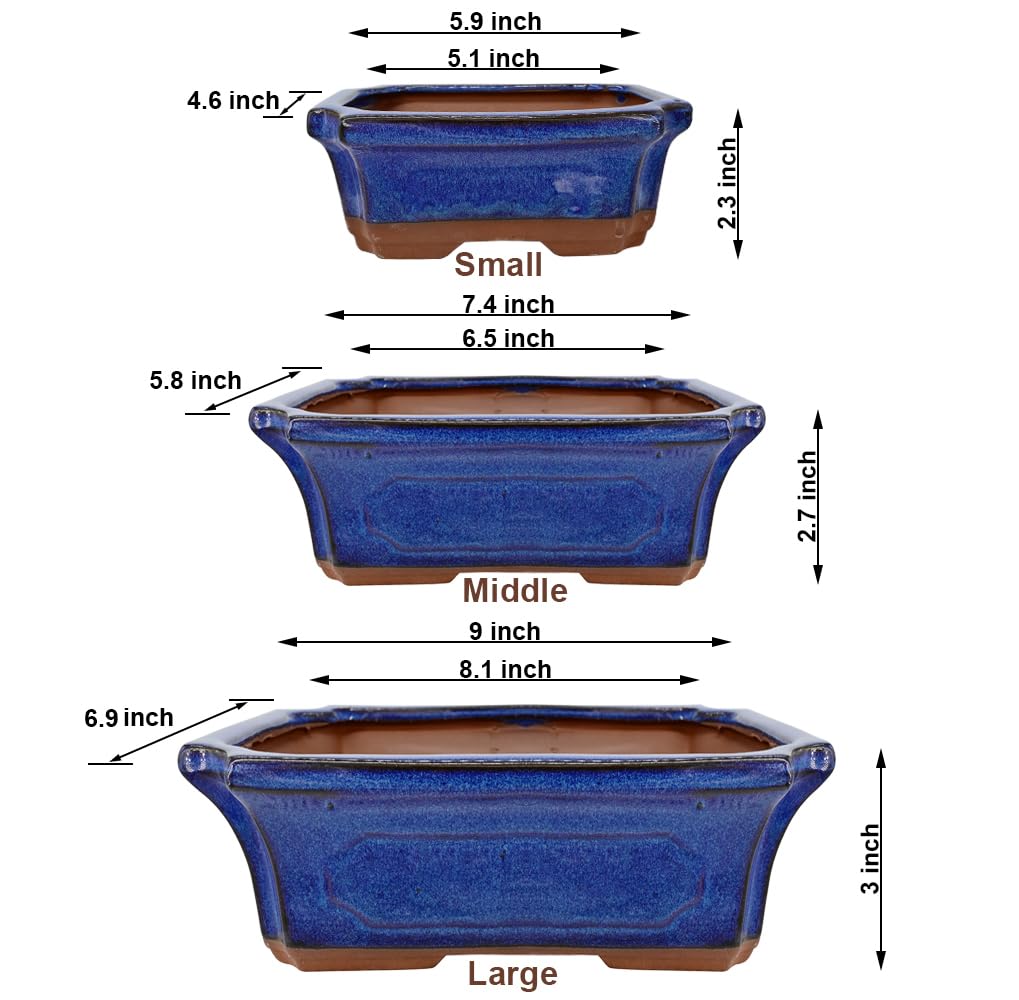 MUZHI blue glazed bonsai pot medium ready for mid-sized succulents and cacti