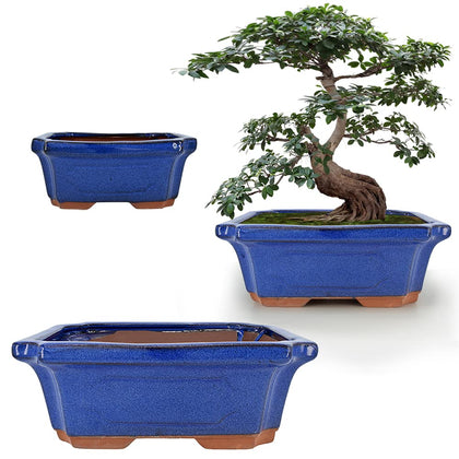 MUZHI blue glazed bonsai pot small with mesh screen for compact plants