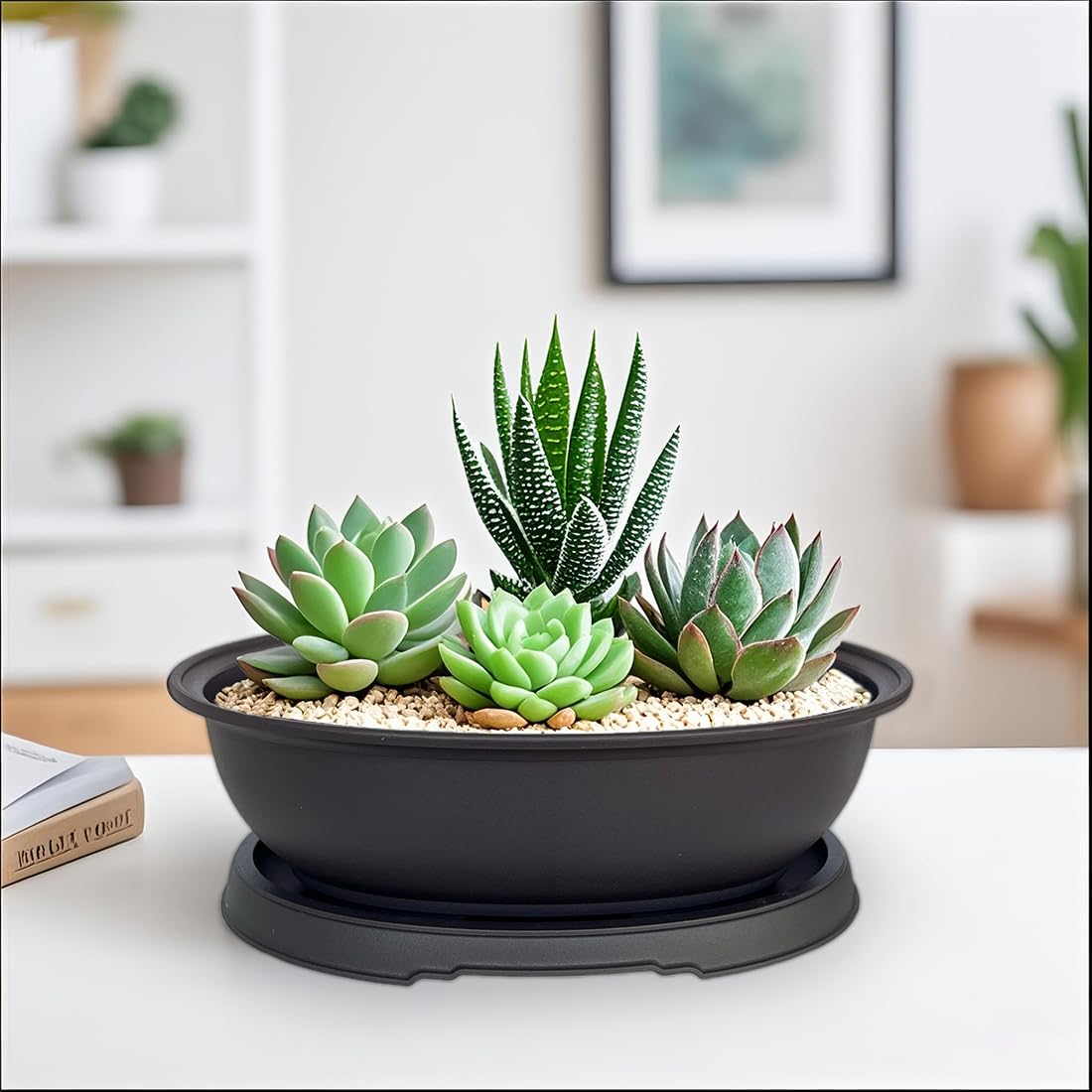 MUZHI pot set suited for small bonsai, jade, or succulents.