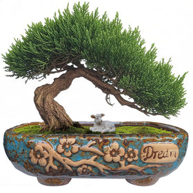 MUZHI rectangular 9.5-inch bonsai planter with glazed blue-brown finish for rustic indoor display.