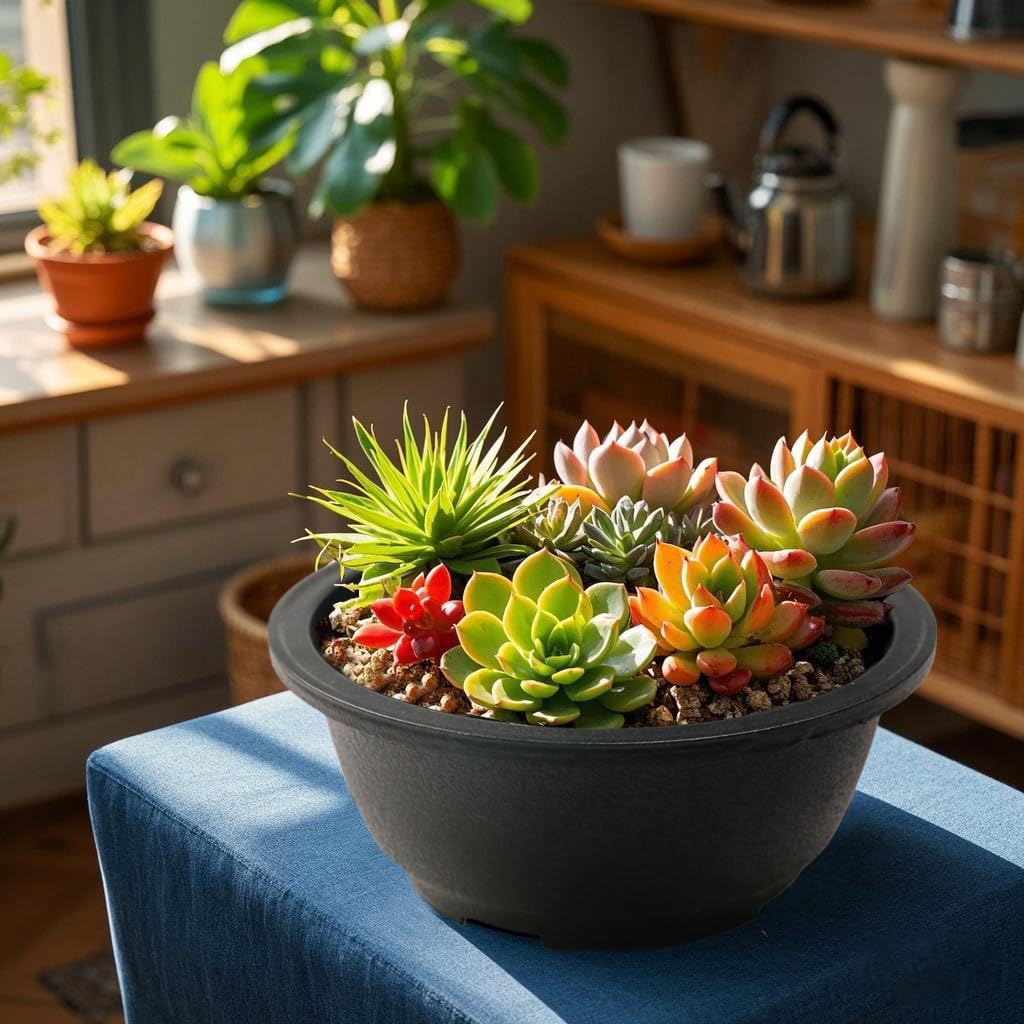 MUZHI lightweight plastic pot suitable for succulents and cacti