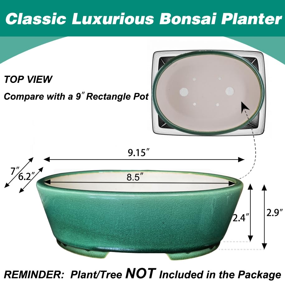 MUZHI humidity tray for bonsai enhances moisture balance.