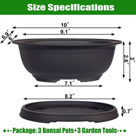 MUZHI bonsai pot with matte finish for stylish indoor/outdoor display.
