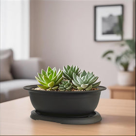 MUZHI multipurpose pot suitable for bonsai, succulents, and small plants.