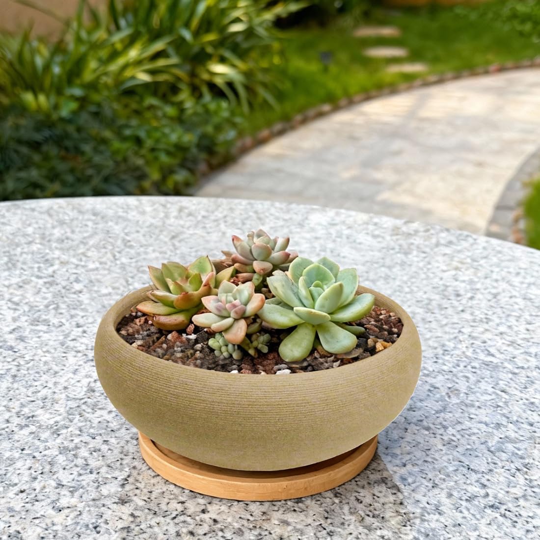MUZHI compact bonsai pot ideal for small spaces and desk plants