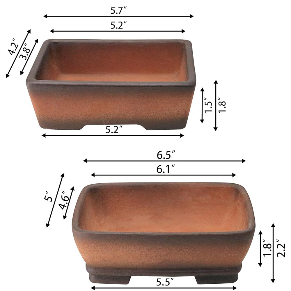 MUZHI gradient terracotta bonsai pot 5-inch with rustic charm.
