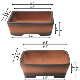 MUZHI gradient terracotta bonsai pot 5-inch with rustic charm.