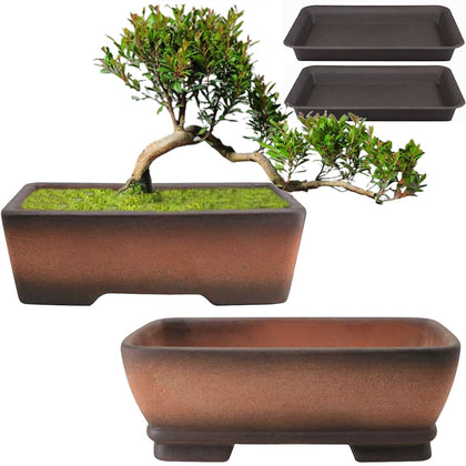 MUZHI gradient terracotta bonsai pot 6-inch for elegant indoor display.