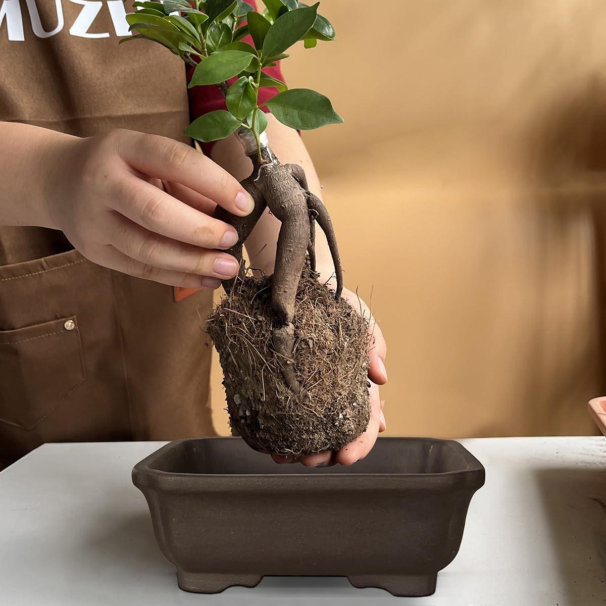 MUZHI humidity tray and mesh pad included for moisture management.
