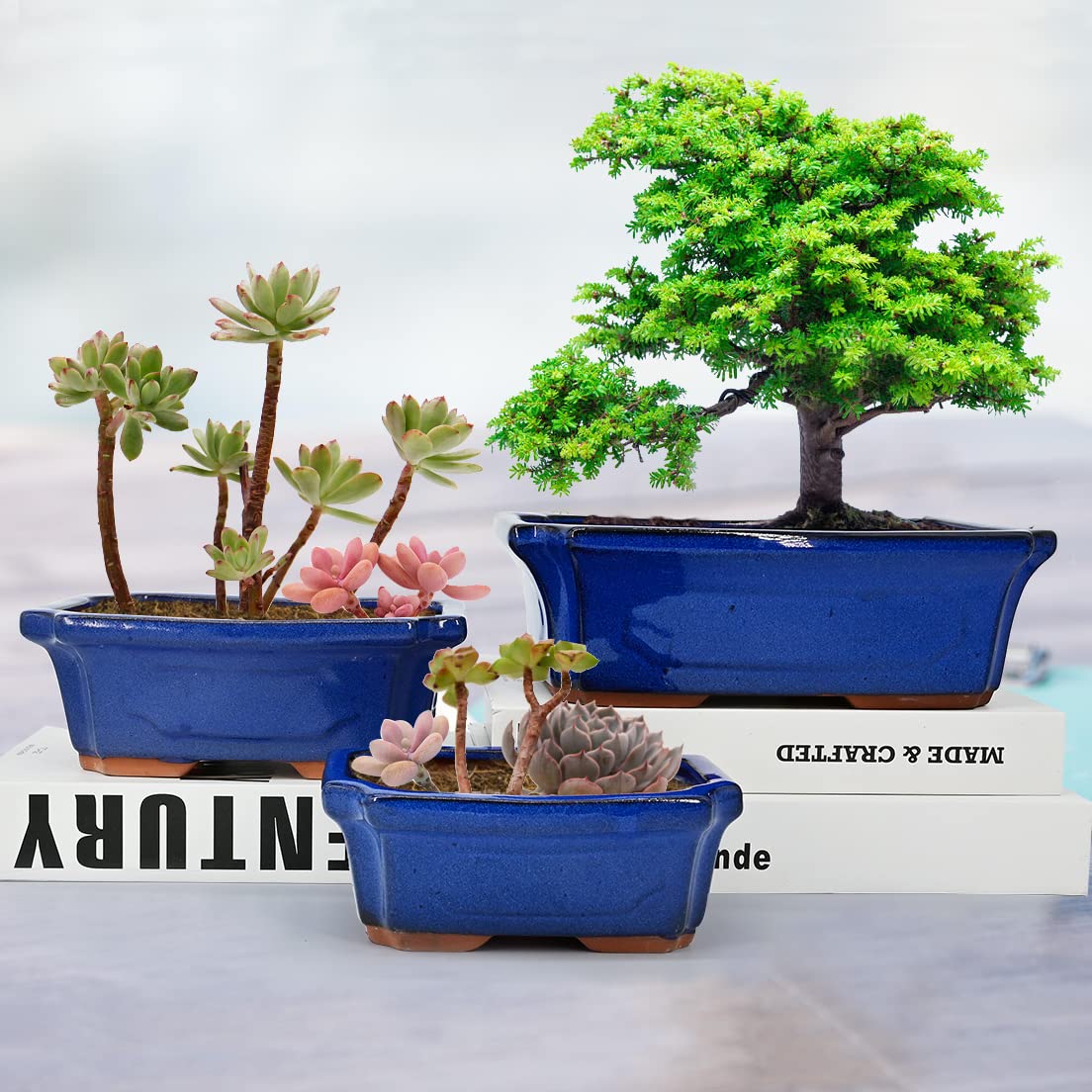 MUZHI mesh screen for medium bonsai pot supports healthy drainage
