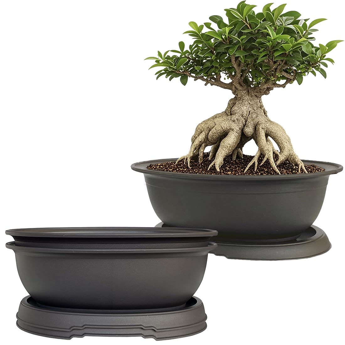MUZHI oval bonsai pot with tray, compact 7.2-inch size for neat home gardens.