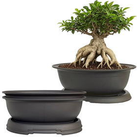 MUZHI oval bonsai pot with tray, compact 7.2-inch size for neat home gardens.