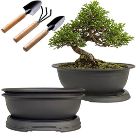 MUZHI oval bonsai pot 9.1-inch with drainage tray for healthy root growth.