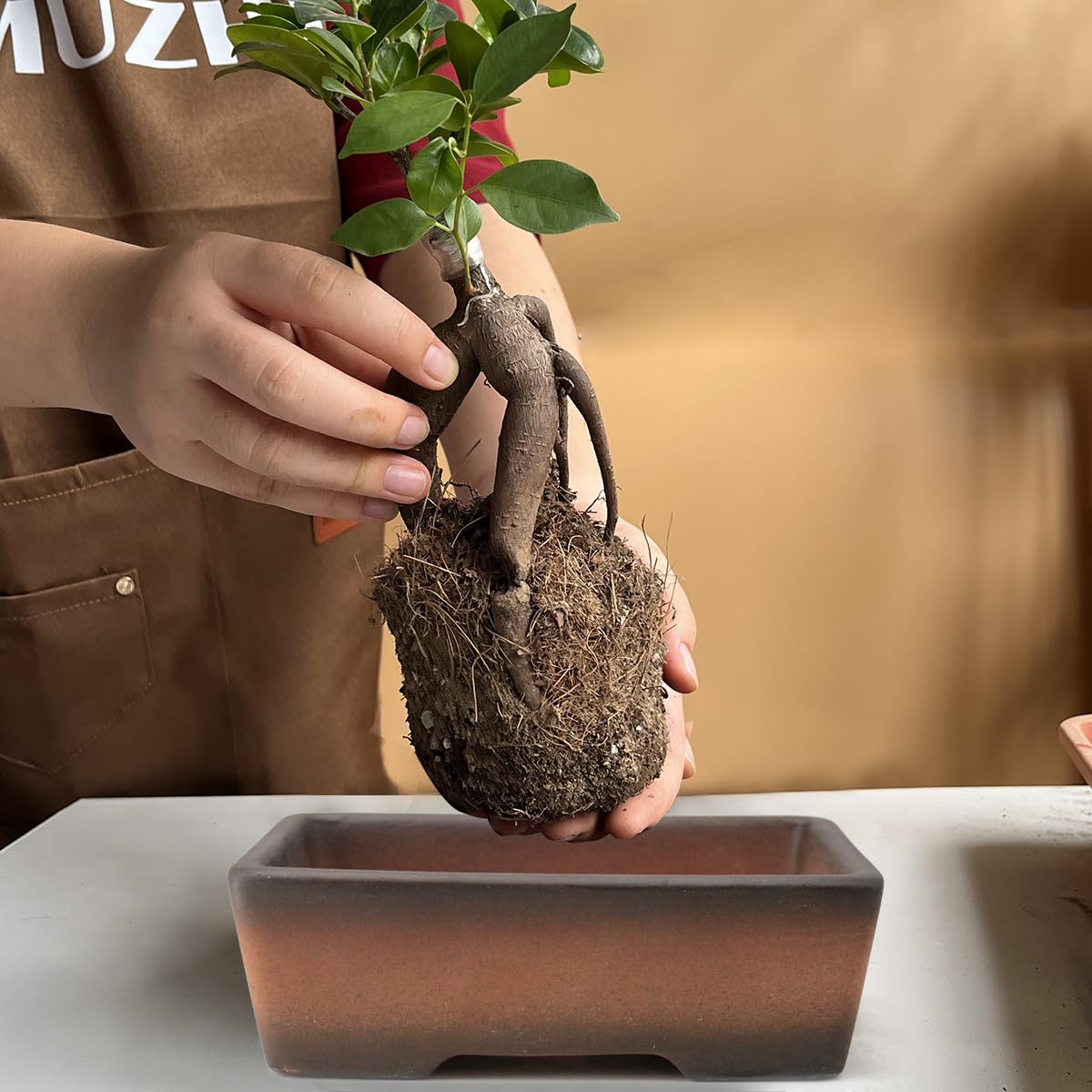 MUZHI raised feet improve air circulation around the pot.