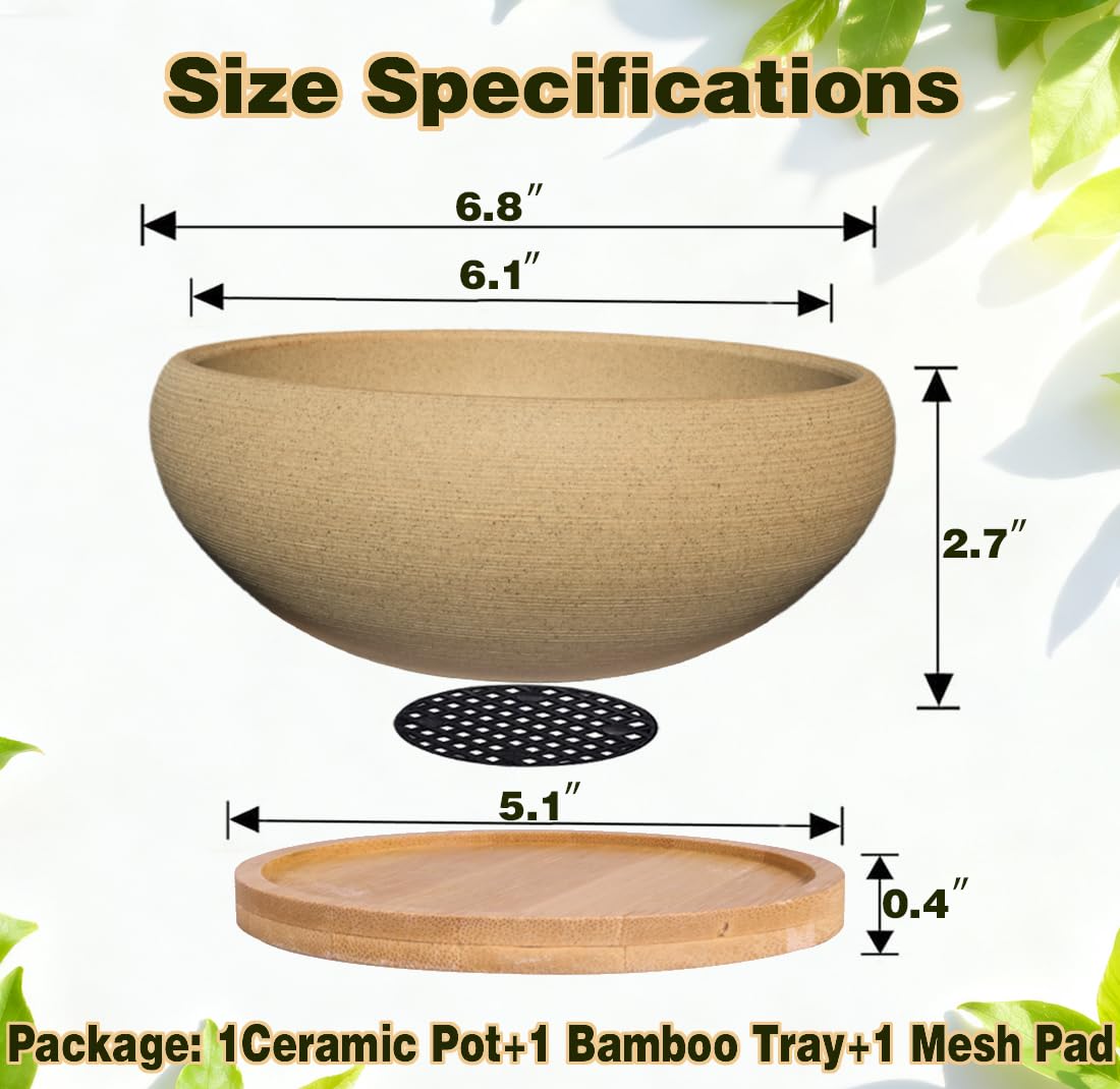 MUZHI rough pottery look bonsai pot adds rustic texture to porch or desk