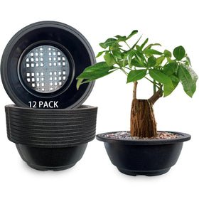 MUZHI round bonsai pot in matte black with drainage for easy root care