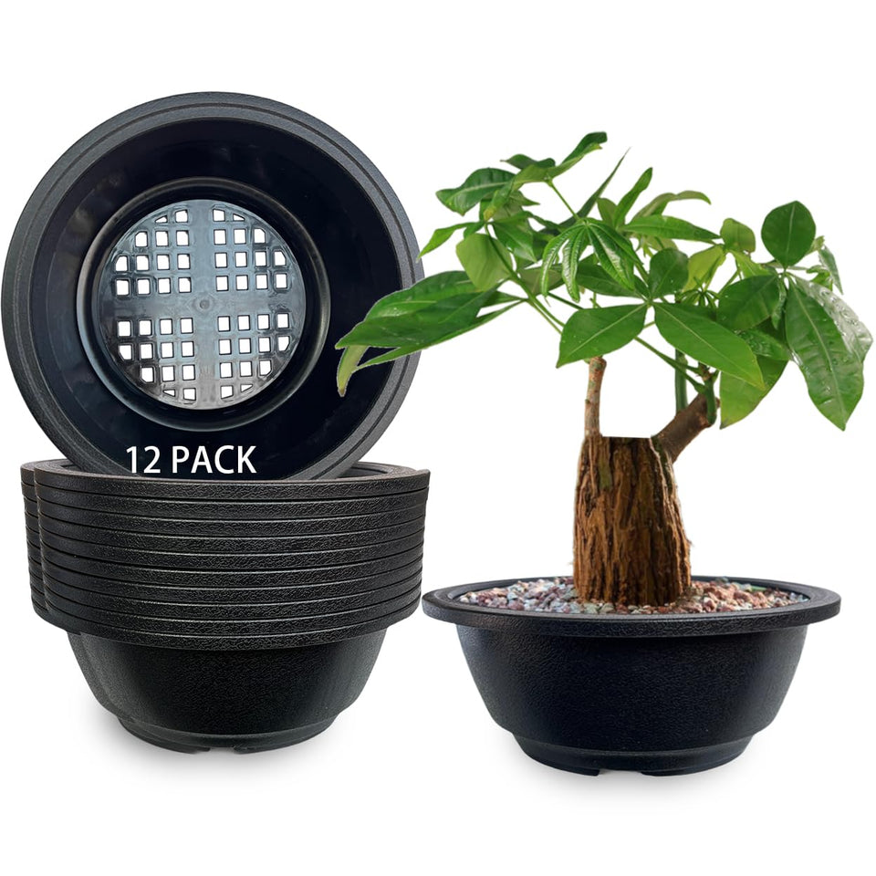 MUZHI round bonsai pot in matte black with drainage for easy root care