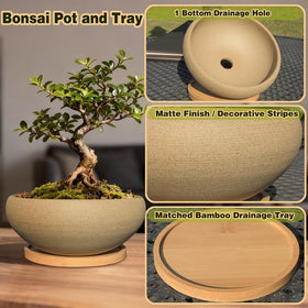 MUZHI unglazed ceramic bonsai pot textured surface for natural decor