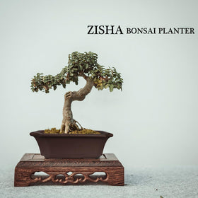 MUZHI zisha clay aesthetic complements indoor or outdoor displays