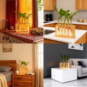 MVOVM Clear glass vases reveal root growth and hydroponic health
