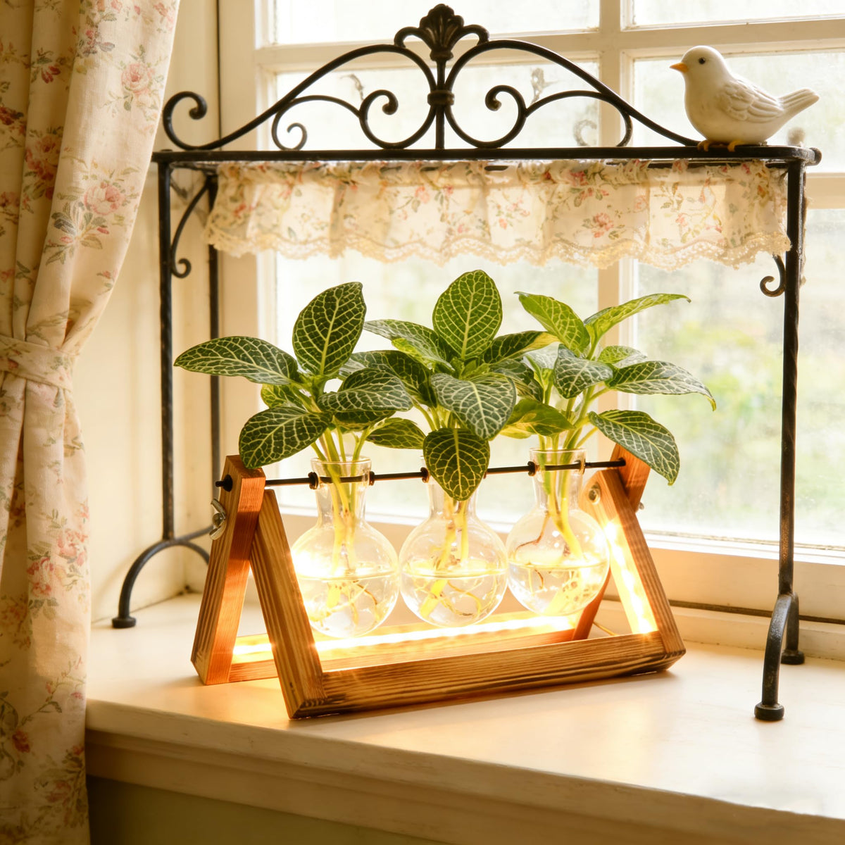 MVOVM home office terrarium enhances workspace with natural charm