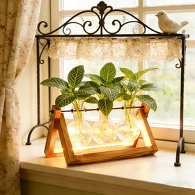 MVOVM home office terrarium enhances workspace with natural charm