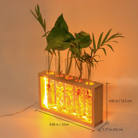 MVOVM Hydroponic glass test tubes display elegant cuttings at home