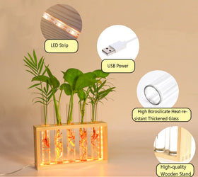 MVOVM LED-lit terrarium offers soft illumination for ambient plant care