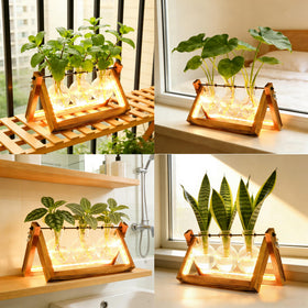 MVOVM LED strip adds ambient light to plant corner