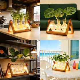 MVOVM natural wood frame terrarium blends vintage decor