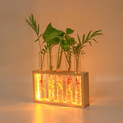 MVOVM Plant Propagation Station with LED lights on a wooden base promotes healthy root growth