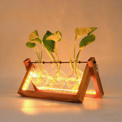 MVOVM propagation station with LED lights and glass vases for easy cuttings