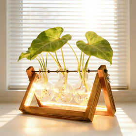 MVOVM three-vase propagation set supports multiple cuttings at once