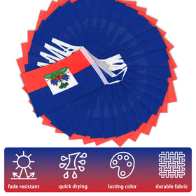 Durable polyester fabric on MVPRING Haiti flag pennant banner.